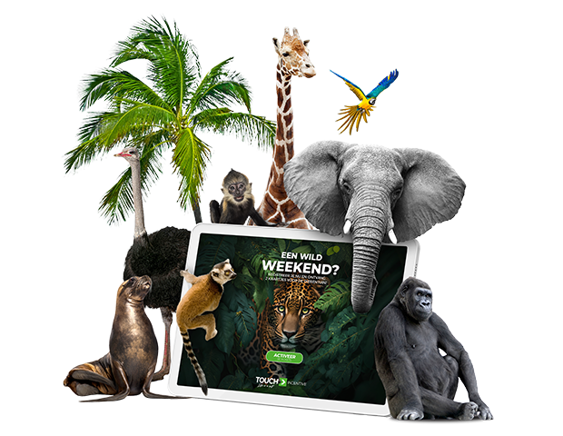 Campagne de motivation avec jeu-concours permettant de gagner une visite au zoo ou un week-end, illustrée par des animaux et une tablette pour inciter les clients à participer